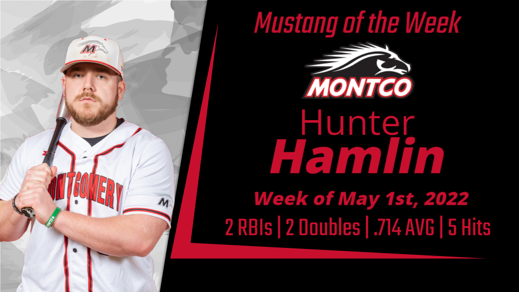 Hamlin's Hits Smash Through This Week's Spotlight!