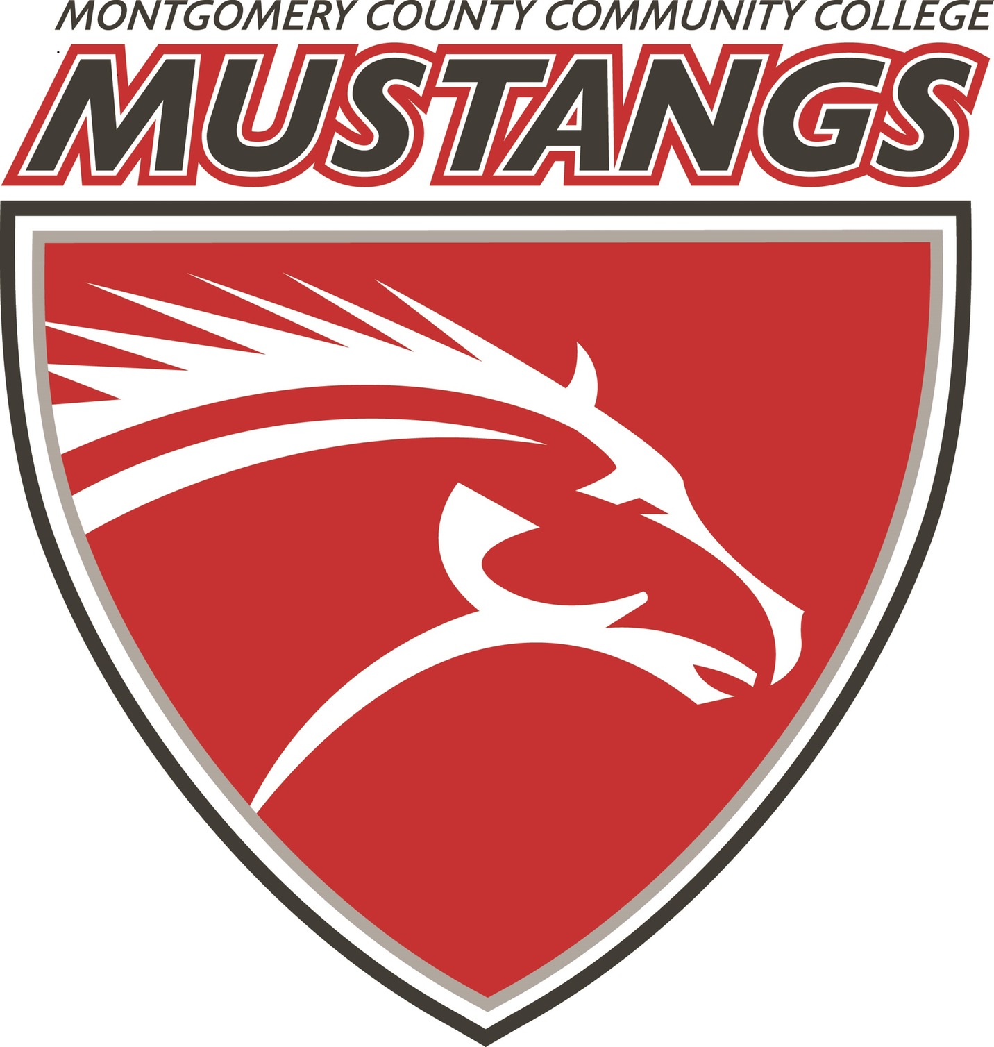 Men's Soccer and Volleyball Playoff Schedules Announced