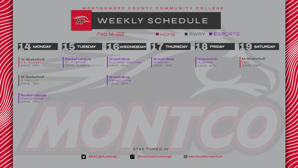 Mustang Preview 2/14-19