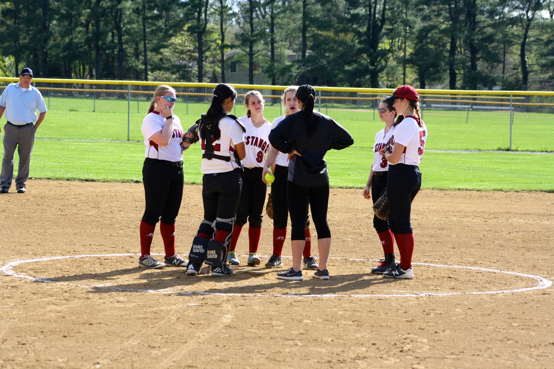 Mustangs Softball: Mustangs Lose to Lions (Game 2)