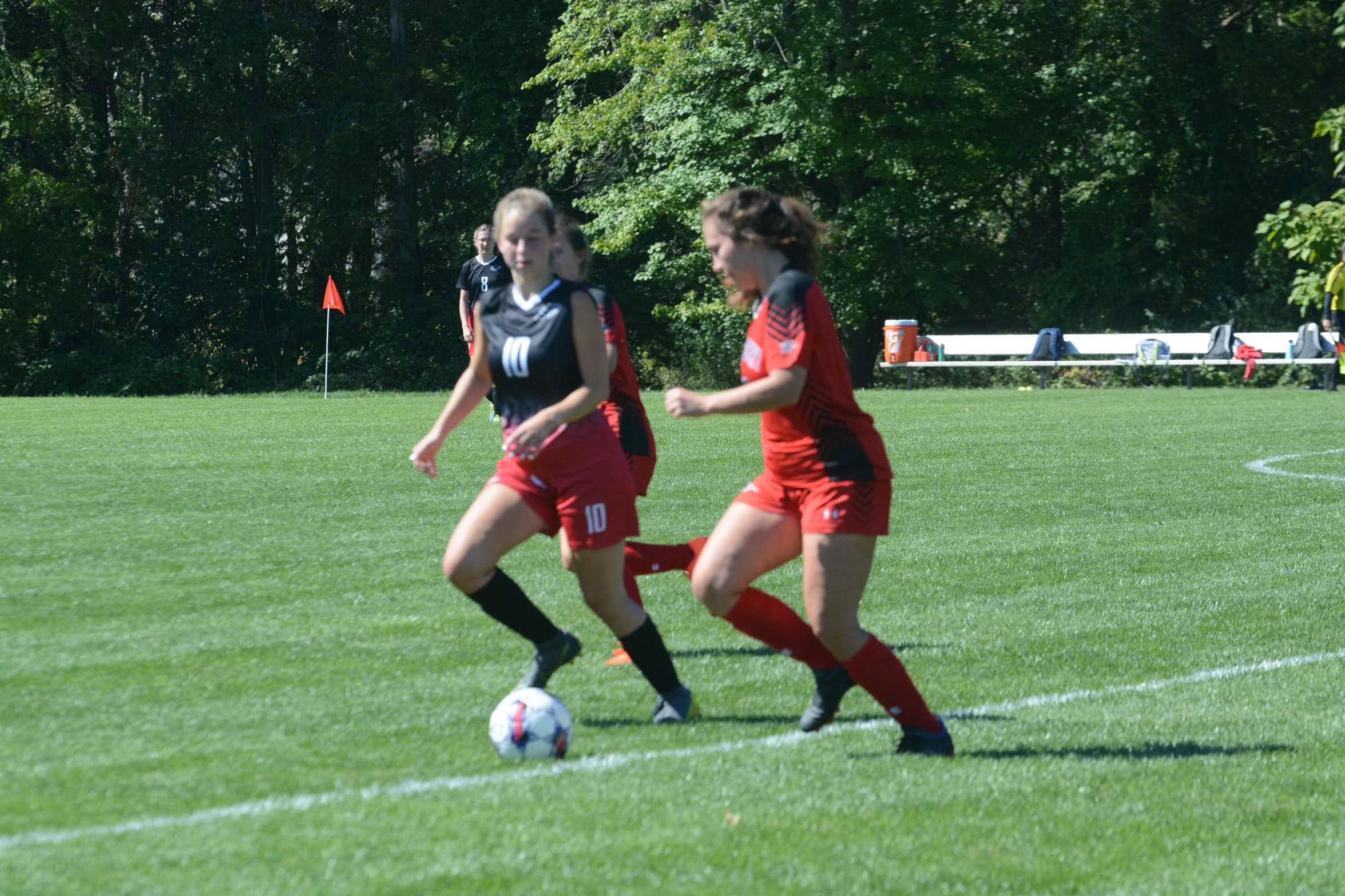 Mustangs Vs. Harrisburg Area Community College